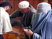 The wheat distributes among in needs families in Badghis province