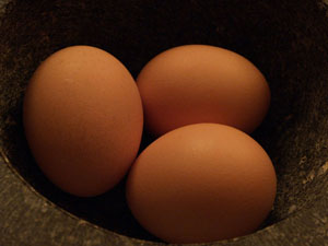 تخم‌مرغ، بدون شست‌وشو و در ظروف سربسته در يخچال نگهداري شود