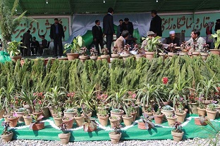 جشن ملی دهقان و نمایشگاه زراعتی در کابل برگزار شد