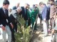 7 هزار اصله نهال درخت در شهر كابل غرس شد