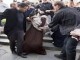 بازرگان مسلمان  فرانسوی جریمه‏ی دو زن محجبه بلژیکی را پرداخت کرد