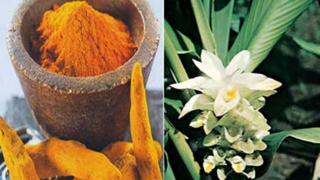Turmeric spice can lower heart attack risk after surgery