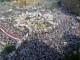 تجمع میلیونی مصری ها در التحریر قاهره برای محاکمه سران رژیم مبارک