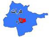 The Gozareh city security commander injured in Herat province