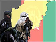 12 شورشی طالب کشته و 5 تن دیگر بازداشت شدند