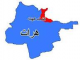 وقوع حمله انتحاری در ولایت هرات 13 کشته و زخمی برجای گذاشت
