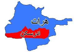 هفت نفر در ولایت هرات کشته و زخمی شدند