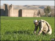 وسایل مدرن زراعتی به دهقانان افغان داده می شود