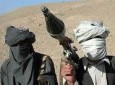 معاون والی نام نهاد طالبان در ولایت  پروان کشته شد