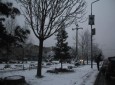 بارش برف در کابل  