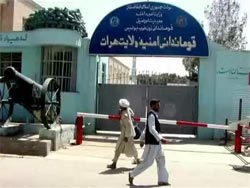 بازداشت یک تروریست مسلح در ولایت هرات