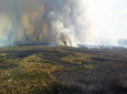 نابودی هزاران جریب از جنگلات استرالیا در آتش