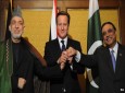 نخست وزير انگليس با روساي جمهور افغانستان و پاکستان ديدار کرد
