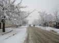 Kabul beauty with the cloths of snow  <img src="https://cdn.avapress.com/images/picture_icon.png" width="16" height="16" border="0" align="top">