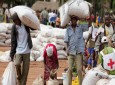 بحران غذا در جمهوری افریقای مرکزی نگران کننده است