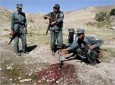 ۲۴ شورشی طالب در نقاط مختلف کشورکشته شدند