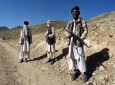 زورگیری طالبان مسلح از باشندگان ولسوالی شیندند