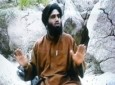داماد و سخنگوی سابق بن لادن دستگیر شد