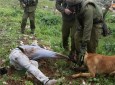 سگهای رژیم صهیونیستی به هر فلسطینی که فریاد الله اکبر سر دهد،حمله می کنند