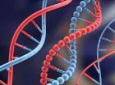 کشف ژنی منفرد که عامل بروز ۳ بیماری نادر است