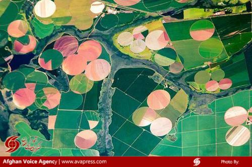 مزارع نزدیک منطقه پردیزس در استان میناس گرایس برزیل، از فضا همچون دایره‌های رنگارنگی دیده می‌شوند