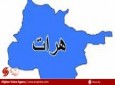 کشته شدن ۲ مخالف دولت در هرات