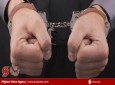دستگیری قوماندان طالب در میدان وردک