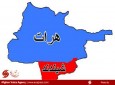 2مخالف مسلح دولت در ولایت هرات کشته و زخمی شدند