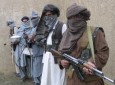 آمادگی ۱۰۰۰  طالب برای حمله به ولسوالی پنجوائی قندهار