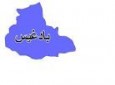 ۱۰ نفر در ولایت بادغیس کشته و زخمی شدند