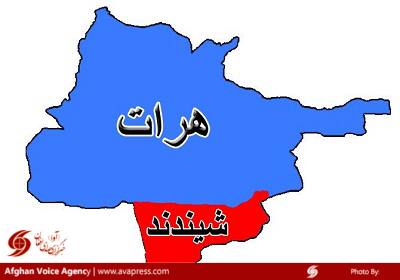 محکمه علنی یک باند اختطافچیان در ولایت هرات برگزار گردید