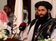 طالبان برای امتیاز گیری در مذاکرات حملات خود را افزایش داده اند