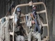 ۷ شبه نظامی طالب در چندین عملیات مشترک کشته شدند