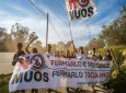 ایتالیایی‌ها در اعتراض به طرح‌های اردوی مریکا برای ساخت سامانه راداری  تظاهرات کردند