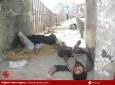 معتادان؛ مرده‌های متحرک خیابان‌های کابل  