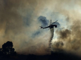آتش سوزی در جنگلهای لس آنجلس  