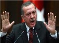 اردوغان در اظهار نظر درمورد شیخ احمد الطیب، پا را از همه خطوط قرمز فراتر گذاشته است