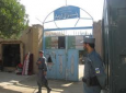 کشته و زخمی‌شدن بیش از ۱۴ عضو طالبان در هرات