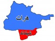 پاک‌سازی ‌۱۵ روستای ولسوالی شنیدند هرات از وجود طالبان