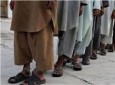 یک باند بزرگ وابسته به طالبان در هرات متلاشی شد