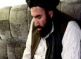ابراز تردید کارشناسان بر تاثیر آزادی ملابرادر در پروسه صلح افغانستان
