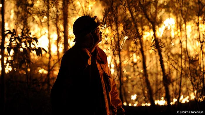 آتش‌سوزی جنگل‌های استرالیا به سیدنی نزدیک‌شد