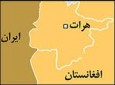 5 کارمند ربوده شده ماین پاکی در هرات آزاد شدند