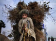 سالمندان در افغانستان نسبت به دیگر کشورهای جهان بدترین موقعیت را دارند