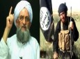 البغدادی با انحلال داعش مخالفت کرد / اختلاف میان سرکردگان تروریست ها بالا گرفت
