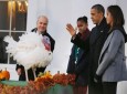 فیل مرغی که مورد عفو اوباما قرار گرفت