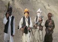 ۴ عضو طالبان بازداشت و یک سرباز اردو کشته شد