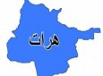 نگرانی دفتر ساحوی حقوق بشر هرات از وضعیت بیجاشدگان