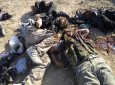 هلاکت ۲۲ سعودی و دو فرمانده آنان در منطقه عدرا در سوریه