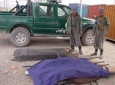 ۳۱ شبه نظامی در عملیات های تصفیه یی کشته و زخمی شدند